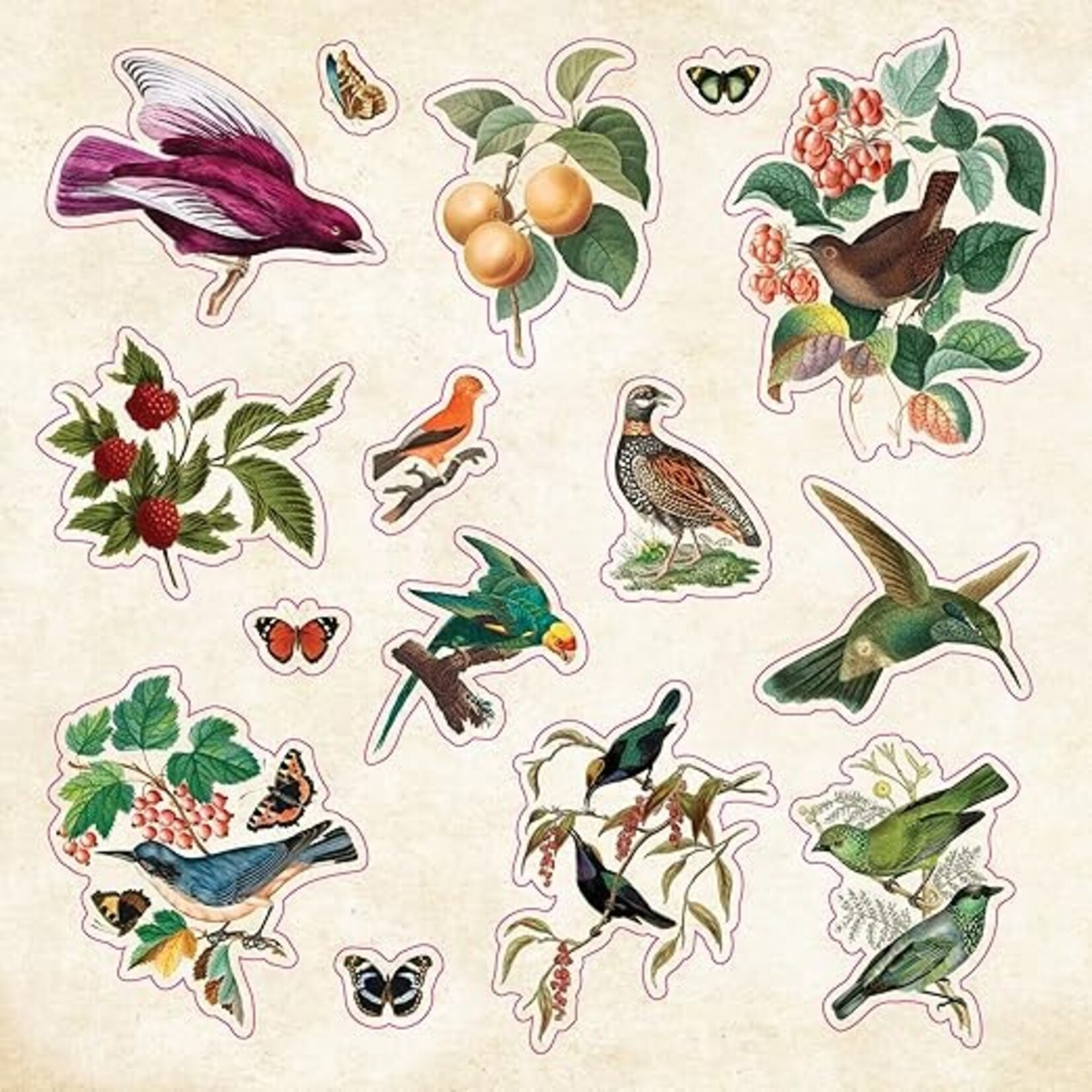 The Sticker Book of Curiosities