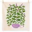 Tea Towel Set (2) - Mint & Melon