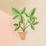 Money Tree Houseplant Sticker