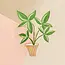 One & Only Paper Money Tree Houseplant Sticker