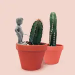 Plant Life - Pee My Plants