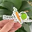 Moonlight Makers Sweet Carrot Lime Sticker