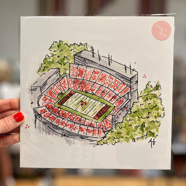Here and There Paintings Carter Finley Stadium Print 8x8