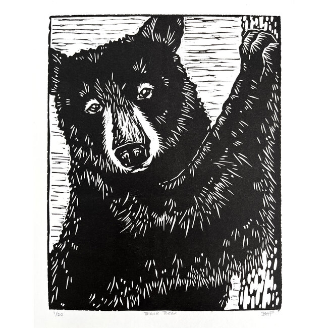 BHP Prints Black Bear Print