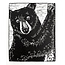 BHP Prints Black Bear Print