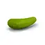 Pickled Wine Stopper