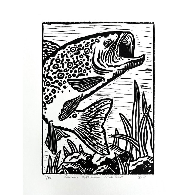 BHP Prints Southern Appalachian Brook Trout Print