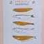 Emily Petrilla Illustrations Sardines Print 8x10