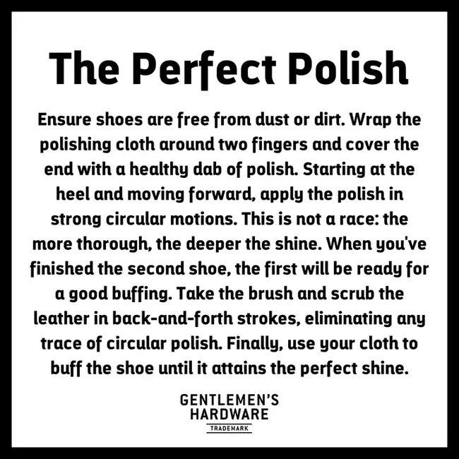 Travel Shoe Shine Kit