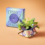 Cosmic Seed Kit - Water (Poppy)