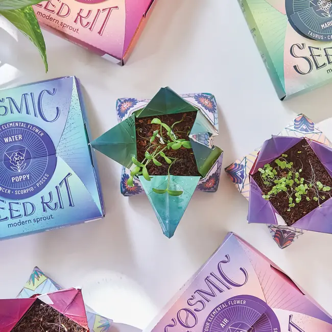 Cosmic Seed Kit - Water (Poppy)