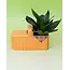 Picnic Basket Planter