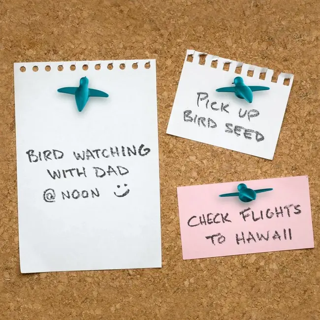 Humtacks - Hummingbird Pins