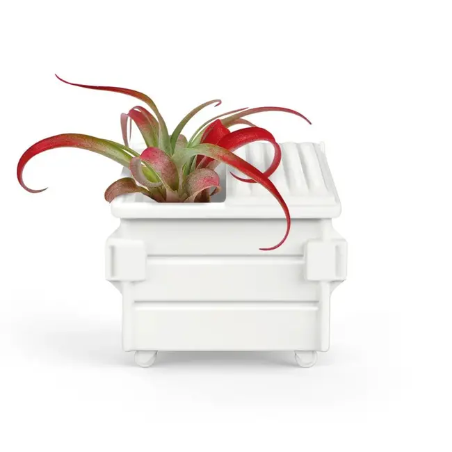 Fancy Plants - Dumpster