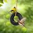 Swing Time Bird Feeder