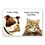 Bulldog Hug Birthday Card