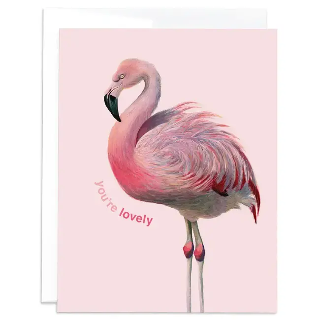 J6R6 Flamingo You're Lovely Card
