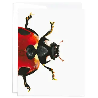 J6R6 Ladybug Card