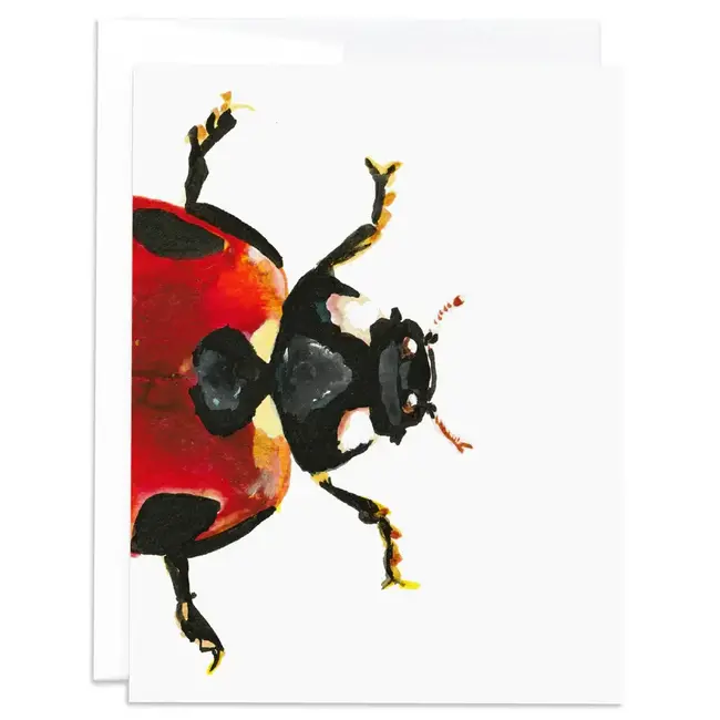 J6R6 Ladybug Card