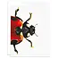 Ladybug Card