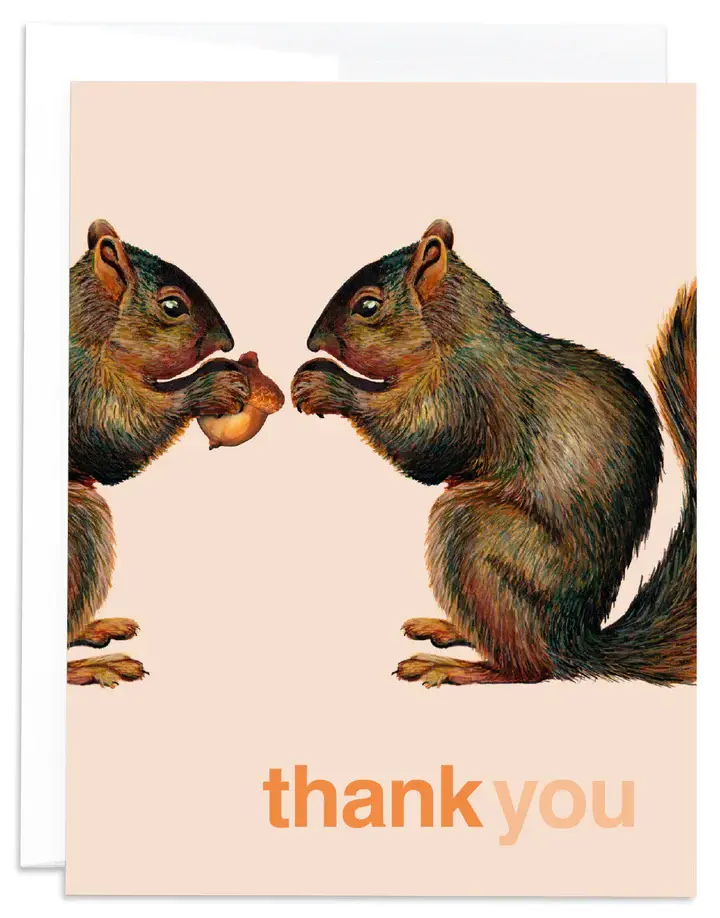 J6R6 Squirrel Thank You Card - DECO Raleigh