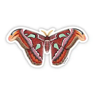 J6R6 Atlas Moth Sticker