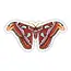J6R6 Atlas Moth Sticker