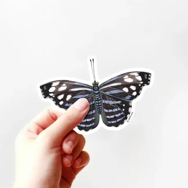 J6R6 Butterfly 25 Sticker