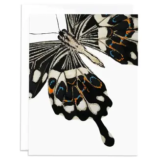 J6R6 Butterfly Card J6R6 Butterfly Card