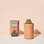 Terracotta Grow Kit - Cactus