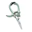 Garden Shears - Sage