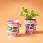 Complimentary Color Grow Kit - You Are My Jam (Strawberry)