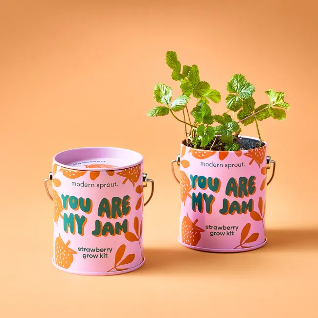 Complimentary Color Grow Kit - You Are My Jam (Strawberry)