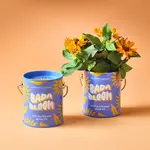 Complimentary Color Grow Kit - Bada Bloom (Mini Sunflower)