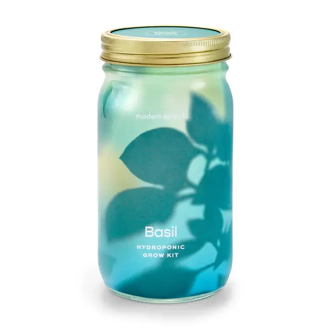 Herb Garden Jar - Basil