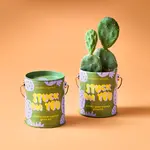 Complimentary Color Grow Kit - Stuck On You (Prickly Pear Cactus)