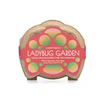 Curious Critters - Ladybug Activity Kit