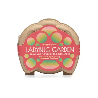 Curious Critters - Ladybug Activity Kit