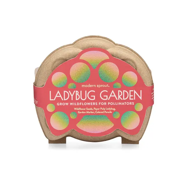 Curious Critters - Ladybug Activity Kit