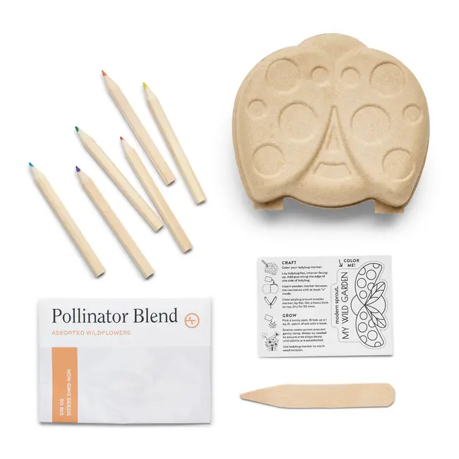 Curious Critters - Ladybug Activity Kit