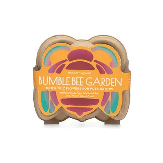 Curious Critters - Bee Activity Kit