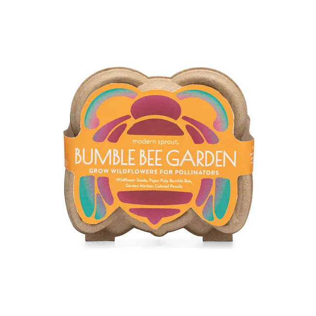 Curious Critters - Bee Activity Kit