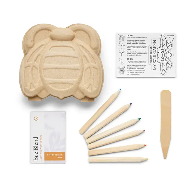 Curious Critters - Bee Activity Kit