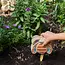 Curious Critters - Bee Activity Kit