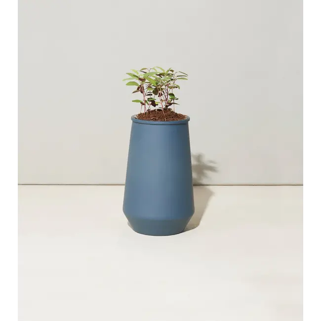 Tapered Tumbler - Eucalyptus