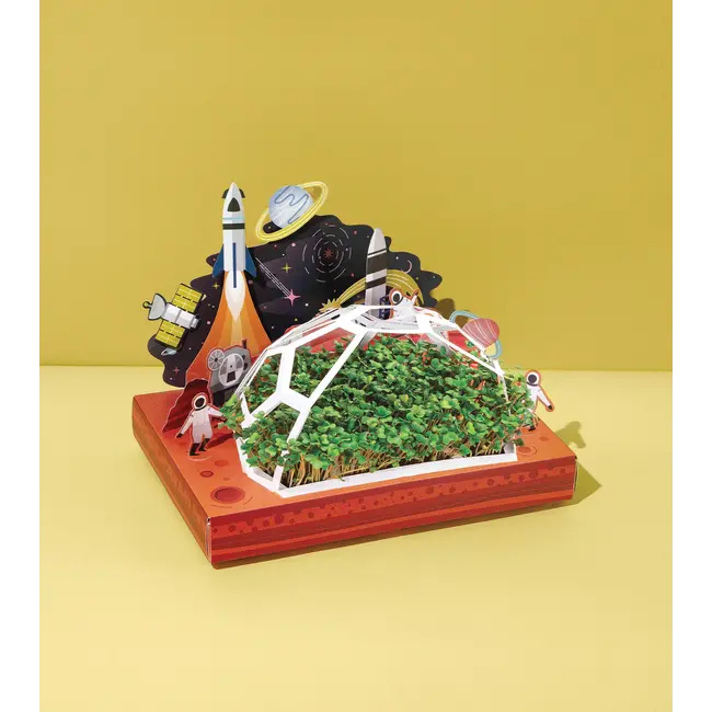 Out of this World - Microgreens Grow Kit