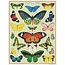 Cavallini Mini Puzzle - Butterflies 240 Piece