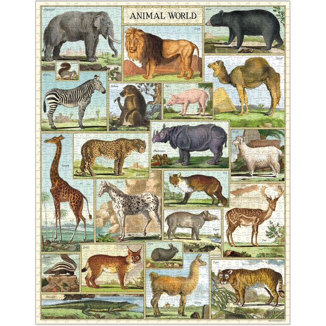 Cavallini Puzzle - Animal World 1000 Piece