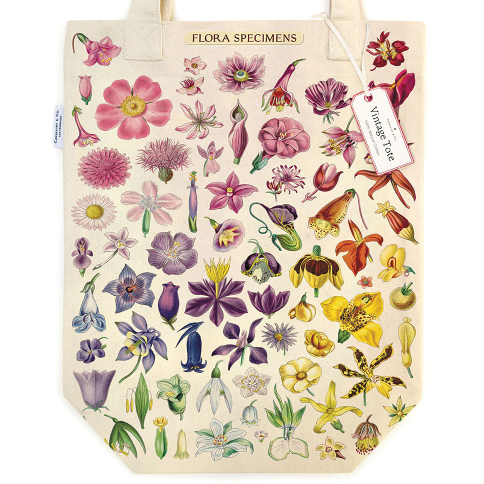 Cavallini Tote Bag - Flora Specimen
