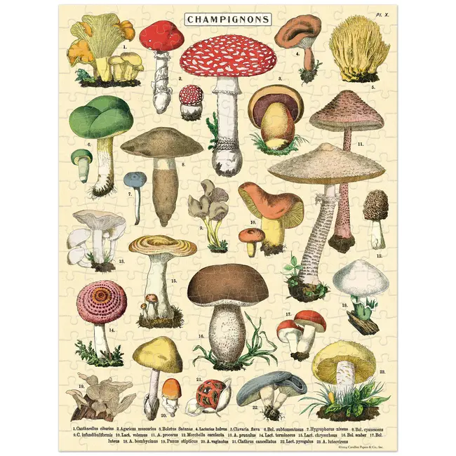 Cavallini Mini Puzzle - Mushrooms 240 Piece